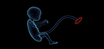 o-que-e-medicina-fetal