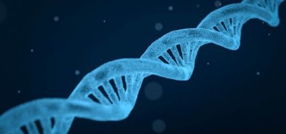 Como e feito o exame de dna na gravidez