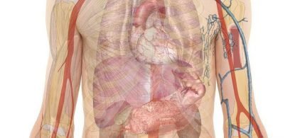Como é feito o exame vascular