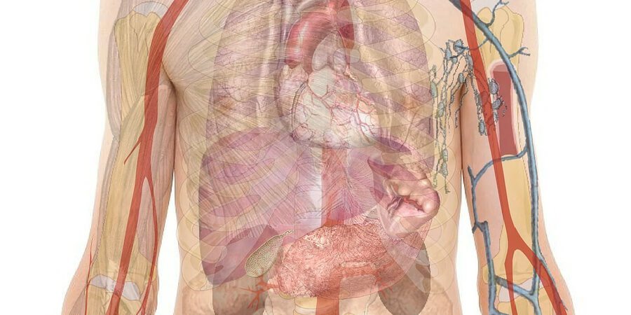 Como é feito o exame vascular