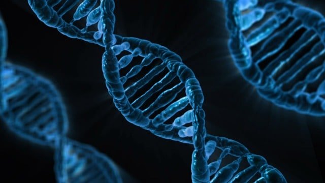 Exames genéticos para cancer