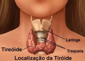 Como Saber Se Tenho Tireoide Guia De Dist Rbios Da Gl Ndula