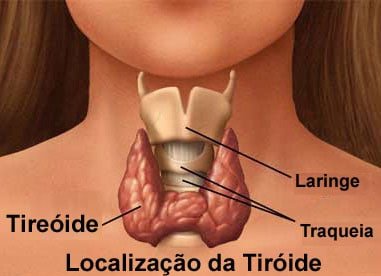 Como saber se tenho tireoide