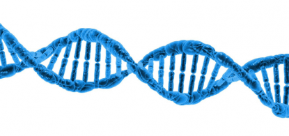 dna fetal