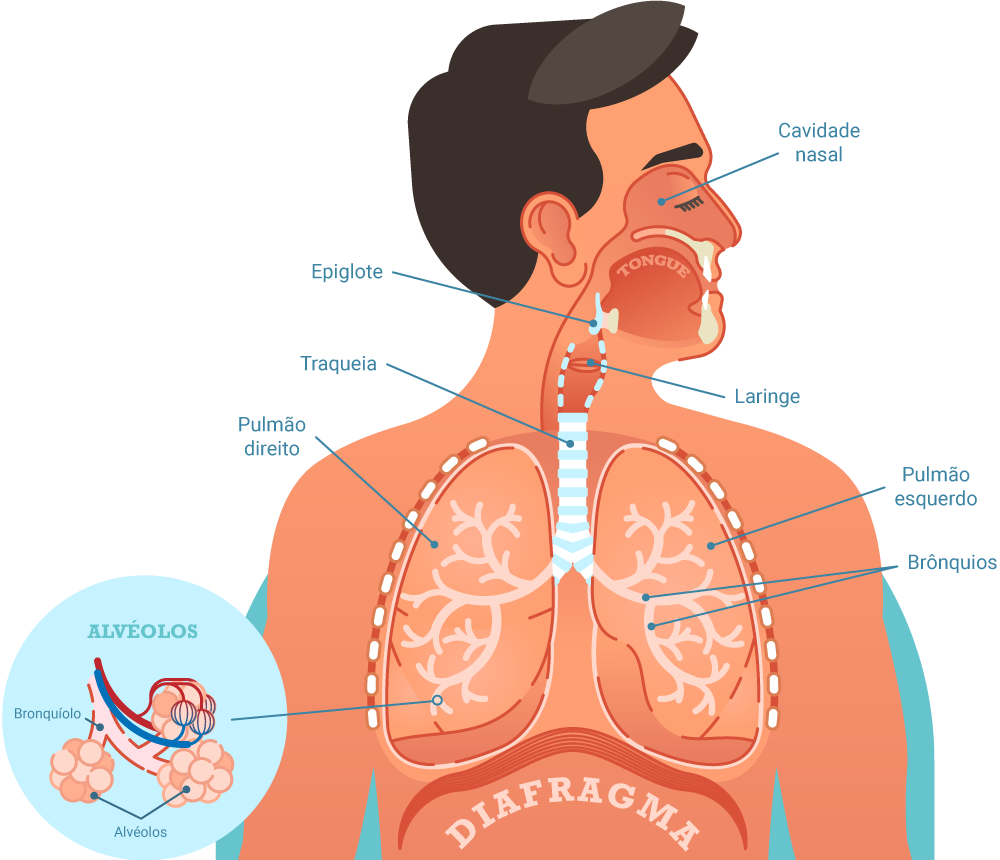 Doença causada pela inflamação dos alvéolos pulmonares