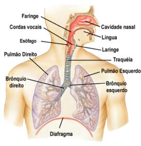 Dor no pulmão: o que pode ser? qual doença? como identificar?